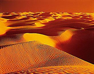 制作人谈《全境封锁2》未来 表示我们的游戏“蒸蒸日上”