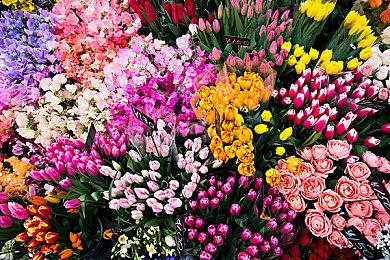 Fami通新一周销量榜 《鬼灭之刃：火神血风谭》继续登顶